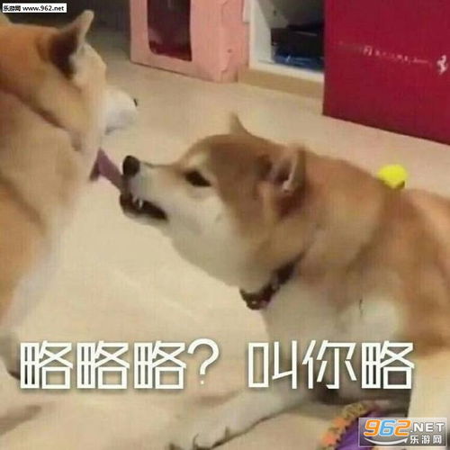表情包 情侣头像略略略