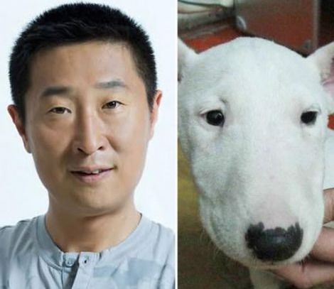  林永健牛头梗是怎么回事