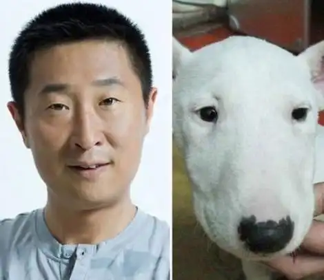 林永健牛头梗是怎么回事 林永健牛头梗是怎么回事