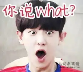 电动车大幅度涨价是真是假 电动车大幅度涨价是真是假