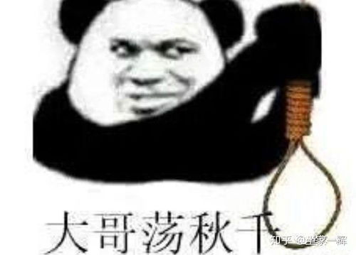  全网网赚项目超全总结超深度干货