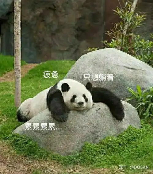 熊猫真是太可爱了第一波熊猫表情包 熊猫真是太可爱了第一波熊猫表情包