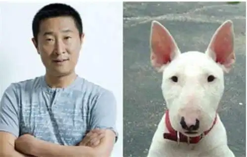 林永健回应撞脸金球奖主持人,这7个字太好笑 林永健回应撞脸金球奖主持人,这7个字太好笑