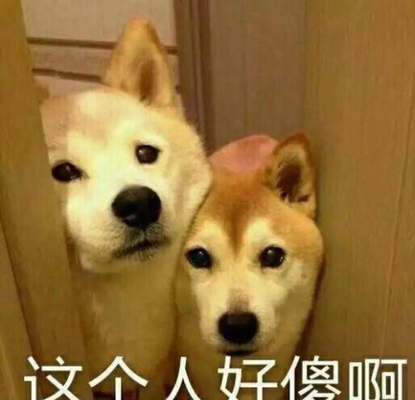 秀恩爱虐狗表情包盖伦