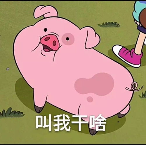  我的收藏