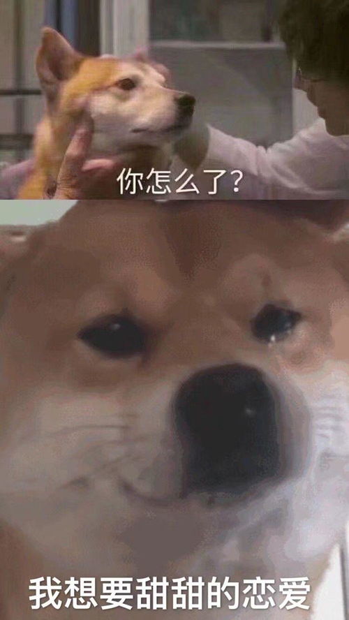  向女生表白,她说阔以先做朋友然后发了一个愉快的表情包我还有机会吗