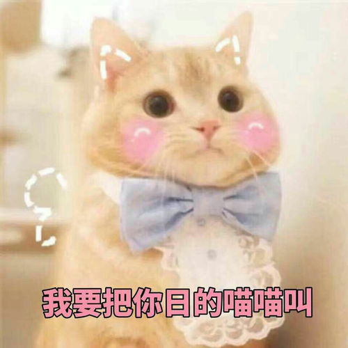  有没有突然对某人某个爱豆突然没热情的时候