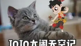 旺财打老鼠 旺财打老鼠