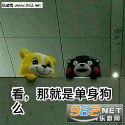  这狗粮我不吃你们约我先睡了表情包单身狗日常表情包下载乐游网游戏下载