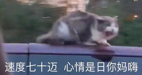  公司把政府补贴,当成工资扣,抠疯了