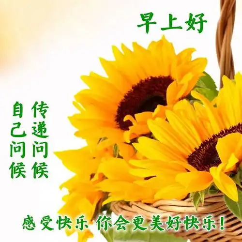 春天早上好问候祝福语带图片,早晨问候早安,唯美简短句子表情包 春天早上好问候祝福语带图片,早晨问候早安,唯美简短句子表情包