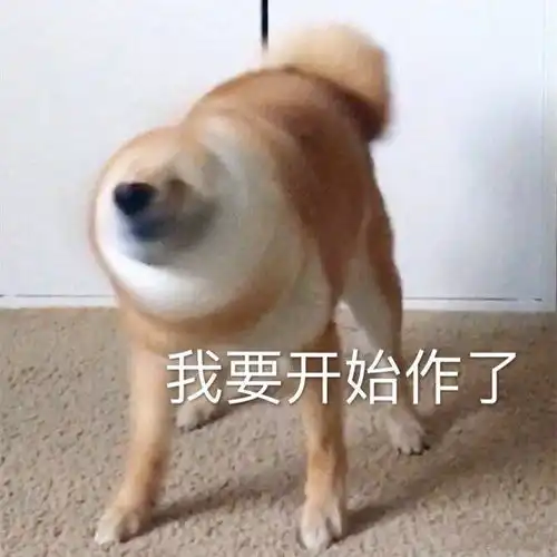 可爱狗狗表情包呜呜委屈屈 可爱狗狗表情包呜呜委屈屈