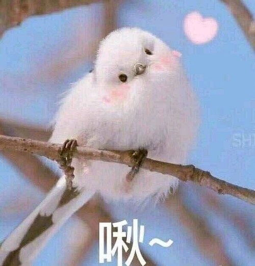 卖萌表情包动漫方家山