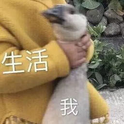  人民币跌破7.15留学生有多难唱完这8首歌就知道了..