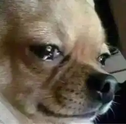 集齐20颗彩虹糖,真的可以召唤彩虹凤凰网科技 集齐20颗彩虹糖,真的可以召唤彩虹凤凰网科技