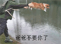  比催婚更让你捉急的,是爸妈学会网购啊