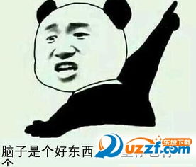  脑子是个好东西希望你也有一个表情包下载图片预览