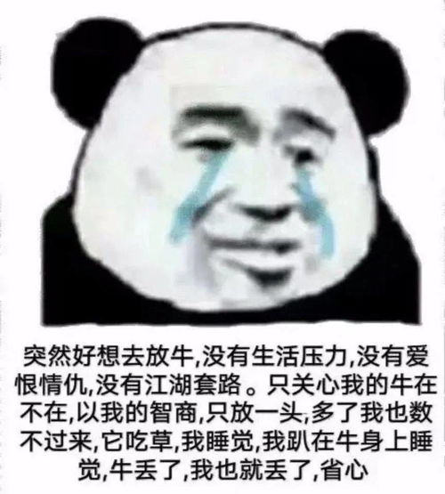  熊猫头表情包我懂,我会照顾好嫂子的