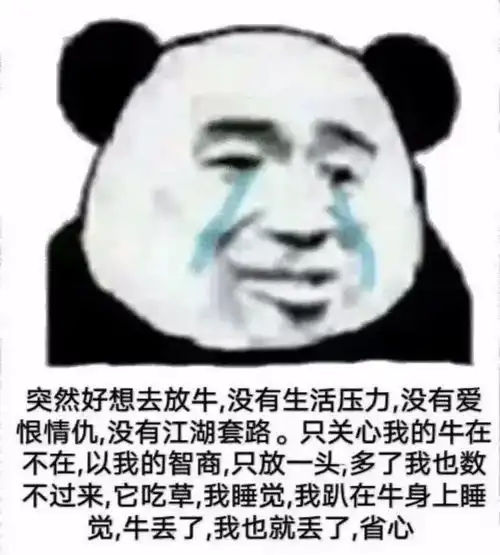  熊猫头表情包我懂,我会照顾好嫂子的