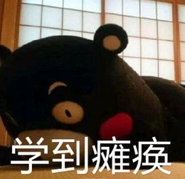  听说我们的学长姐都会这些