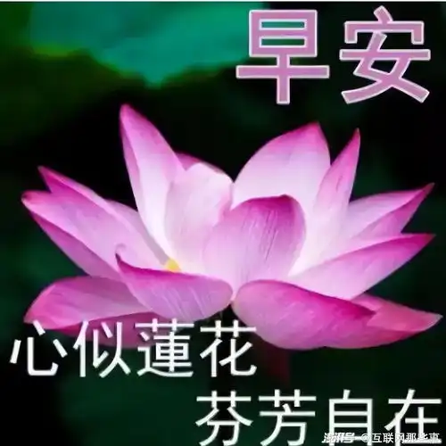 地球人每天发60亿个表情包,情绪共鸣成红利新风口 地球人每天发60亿个表情包,情绪共鸣成红利新风口