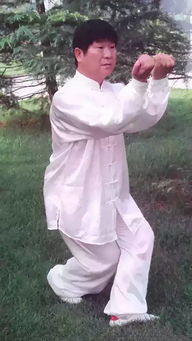  宁波内家拳武林大会王武泉大师表演孙式太极拳