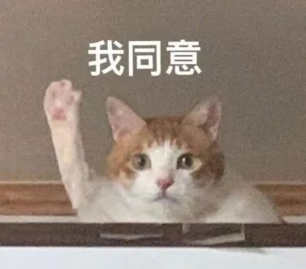  有点甜深圳小男孩给消防员送礼物呐给你棒棒糖手机新浪网