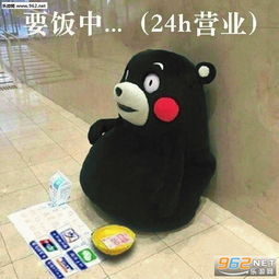 又不理我了表情包要饭