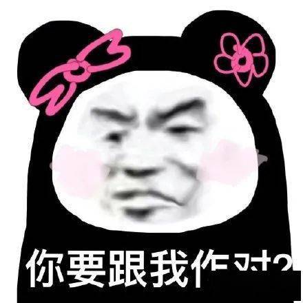  每日沙雕表情包