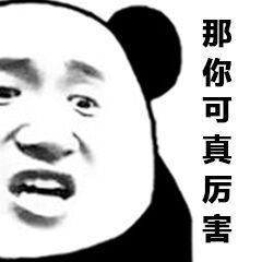 表情包人熊猫