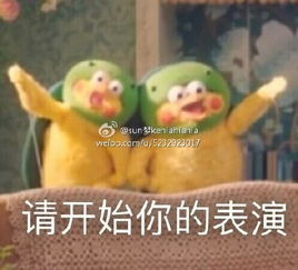  鹦鹉兄弟动态表情包