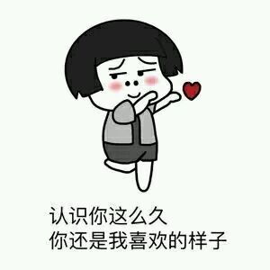 表白三连表情包告白