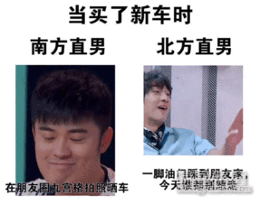  北方直男林更新南方直男陈赫表情南北方直男搞笑表情素材无水印版软件下载