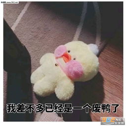  完了我写作业写瞎了搞笑图片让我看看是那个傻子表情包下载乐游网游戏下载