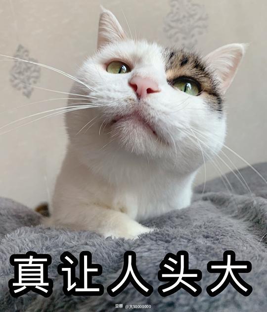  大50000000的相册三级包不如表情包