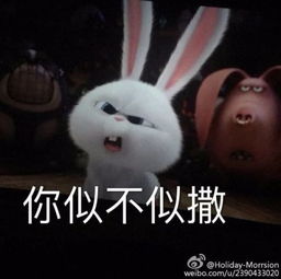  有没有这个兔子的图,最好是动态图