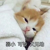  弱小可怜表情包微信头像图片大全