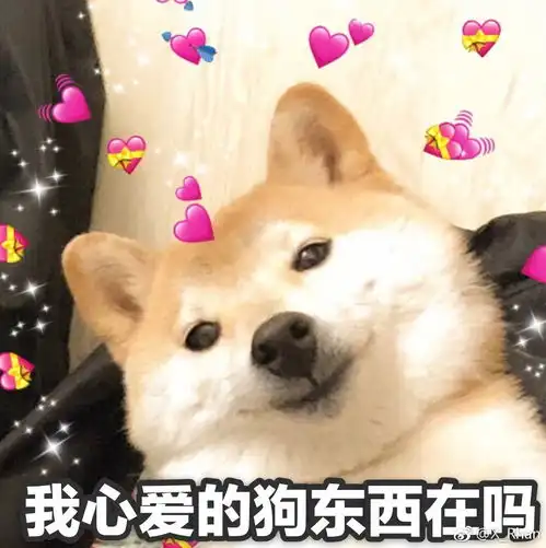 央视点评ku九卅娱乐10年信誉登陆 央视点评ku九卅娱乐10年信誉登陆