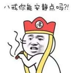  搞笑表情包来袭斗图专用,一言不合就斗图