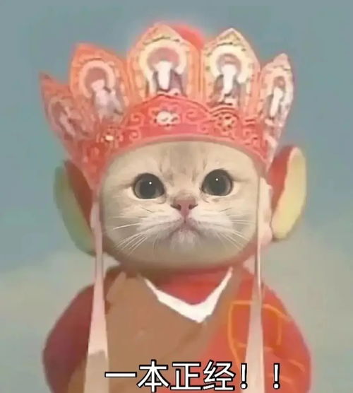  求助,社群运营是做什么的