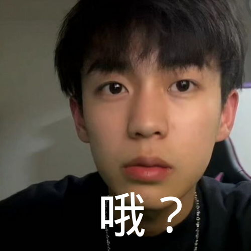  无标题