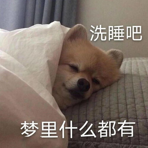  热门表情包表情包动图大全