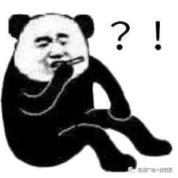  突然火了芜湖的暴走团到底是干什么的