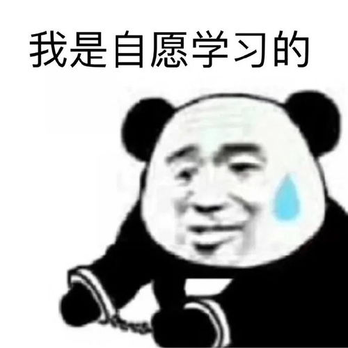  考研人交流必备表情包来袭码