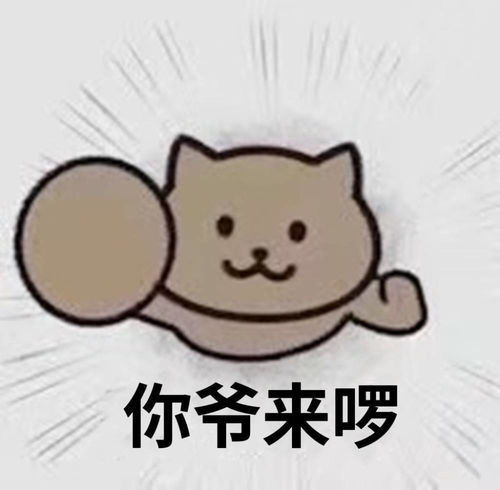 打卡签到表情包可爱