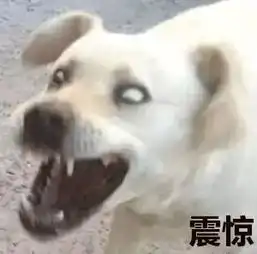 大祸临头表情包狗粮
