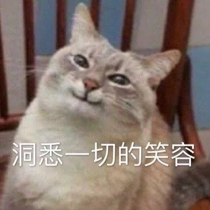  赌气表情包先生那句我爱你还算数吗,今天我不是很爱你了
