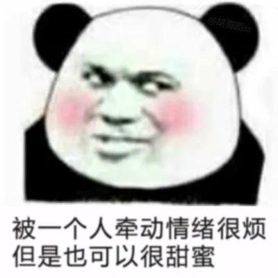 王思聪孙一宁表情包大合集