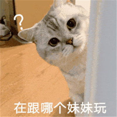  2022年很有趣的沙雕聊天表情大全