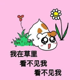  王者荣耀表情包之仓鼠表情包我又以为能一打五